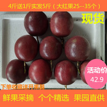 现摘百香果广西桂林高山大红鲜鸡蛋果西番莲特产5斤33个左右包邮