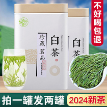 正宗白茶安吉高山特级2024年新茶礼盒装珍稀口粮绿茶雨前散装茶叶