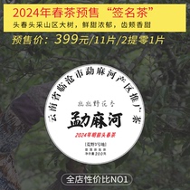 399元/11片 2024年春茶预售[签名茶]头春头采放荒大树茶生茶200克