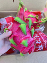 越南红心火龙果进口水果新鲜当季精选大果