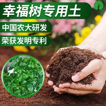 幸福树专用土专用营养土专用肥料中国农大研发营养土