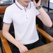 夏季男士短袖t恤韩版流行男装半袖polo衫翻领体恤时尚修身T恤男潮