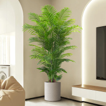 仿真绿植高端轻奢散尾葵落地盆栽假花树室内客厅装饰摆件仿生植物
