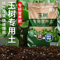 栽玉树专用土肥料花土营养土养花专用通用盆栽土壤用土泥土种植土