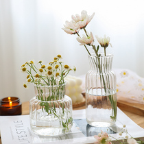 TINYHOME小花瓶民宿咖啡厅玻璃透明餐桌摆件客厅插花水养迷你花器