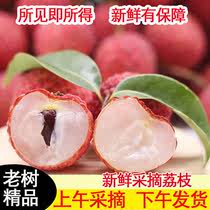 广西灵山荔枝新鲜小核荔枝白糖罂爆甜冰袋包装夏季热带水果