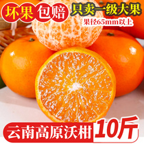 云南高原沃柑10斤新鲜现摘当季蜜桔砂糖橘一级皇帝蜜柑时令橘包邮
