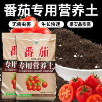 番茄专用土西红柿营养土圣女果土壤专用肥料番茄盆栽有机土种植土