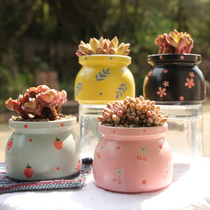 简约网红多肉植物花盆陶瓷奶罐清新室内手绘创意个性韩式白瓷花器