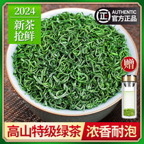 绿茶2024年新茶特级浓香型日照充足高山云雾春茶袋装散装茶叶500g