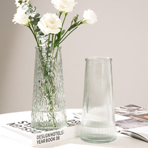 [两件套]ins风北欧玻璃花瓶大号透明水养富贵竹桌面客厅插花摆件