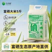 吉内得大米2023新米富硒大米5斤长粒米籼米真空包装老种子鲜米
