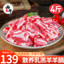 新鲜乳羔羊羊腩肉2000g羊肉生鲜羊腹肉羊腩块羊肚肉烧烤食材