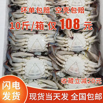 10斤带箱螃蟹梭子蟹新鲜冷速急冻螃蟹公母随机海鲜香辣蟹商用批发