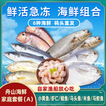 海杂鱼新鲜活冷冻舟山小黄鱼虾仁鲳鱼马头鱼米鱼马鲛鱼非日本海鲜