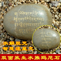 双面智慧流星咒水解脱咒放生玛尼石结缘水族西藏密宗藏传用品