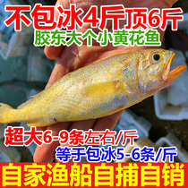 特大新鲜小黄花鱼4斤大号鲜冷冻小黄鱼海鲜水产鲜活海鱼烟台生鲜