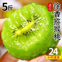 陕西徐香猕猴桃9斤奇异果周至绿心新鲜水果应当季孕妇猕猴桃整箱