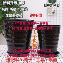 2020火龙果盆栽专用盆大口径花盆30-35cm大芦荟超大种葡萄的陶花