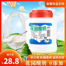 新疆特产花园酸奶1.2kg大桶罐装原味低温酸奶全脂风味发酵乳