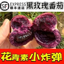 【顺丰包邮】山东寿光黑紫色小番茄即食黑玫瑰圣女果花青素水果