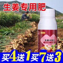 生姜专用肥地下根茎膨大素控旺剂大姜叶面肥增产水溶肥复合肥肥料