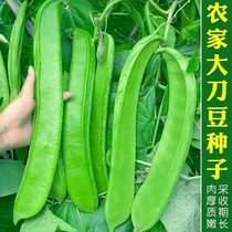 大红刀豆种子孑春季夏季秋季耐热四季蔬菜挟剑豆特长大刀豆角种籽