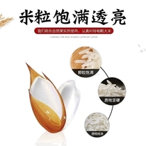 苏北粮油泗洪特产大米香米粳米真空包装新米5kg10斤大米包邮