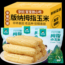 云南西双版纳拇指玉米新鲜手指小玉米即食儿童早餐真空包装玉米碴
