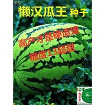懒汉瓜王西瓜种子脆甜早熟南方四季播种薄皮少籽西瓜水果蔬菜种籽
