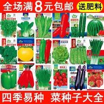 家庭四季蔬菜种子套餐各种常种蔬菜大全菜种子家庭菜籽四季种植 1