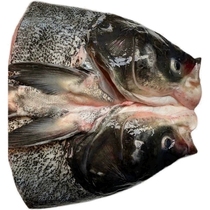 4斤/个千岛湖鱼头新鲜胖头鱼鳙鱼头鲢鱼头淡水鱼海鲜水产顺丰包邮