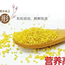 河北邢台南和特产小米新米米食用小米5斤装农家包邮