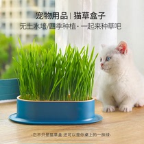 新款猫草盆栽无土水培种子懒人种植盒猫草盆小麦粒子培育盘杯套装