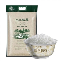 广西巴马稻尊农家油粘米5kg10斤优质南方丝苗米长粒香软大米新米