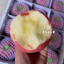 [慕白开心果] 陕西正宗白水红富士苹果高端礼盒装 新鲜酸甜送人礼