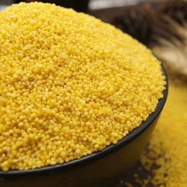 东北建昌农家自产小米  小黄米当年新米 米食物包邮