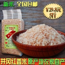 井冈山红米红精米红香米软红米饭红粳米特产五谷杂粮农家自种5斤