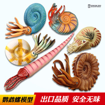 童德仿真鹦鹉螺玩具海洋动物模型菊石兽直角石儿童认知摆件礼物