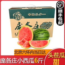 【北京当日达】大兴庞各庄西瓜新鲜整箱包邮头茬小西瓜甜瓜水果