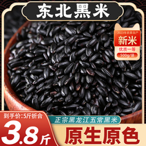 东北黑米23年五常农家新米黑香米自种五谷杂粮糙米粗粮饭团粥原料