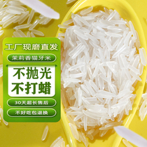 正宗猫牙米2023晚稻当季新米长粒大米丝苗米大米长粒香象牙煲仔饭