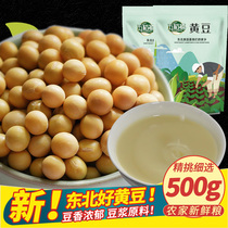 东北黄豆打豆浆专用发豆芽颗粒饱满农家自种非转基因新鲜粗粮500g