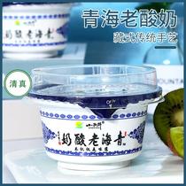 清真酸奶青海老酸奶小西牛青海特产原味益生菌发酵乳150g*12盒