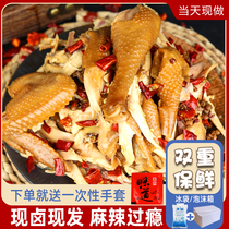 河南夏邑热卖特产杨氏麻椒桶子鸡现卤现发开袋即食整只约二斤多