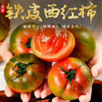 密云铁皮西红柿4斤自然熟生吃农家新鲜草莓铁皮柿子水果绿腚番茄