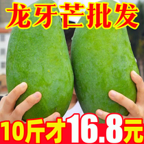 【龙牙芒】10斤越南进口大青芒非金煌芒果当季新鲜热带水果进口