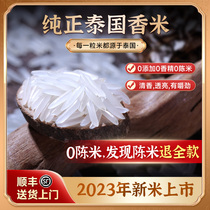 泰国纯正茉莉香米原粮进口2023年新大米长粒猫牙丝苗米官方旗舰店