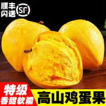 【顺丰】新鲜鸡蛋果 云南/海南蛋黄果 狮头果热带水果香甜粉糯