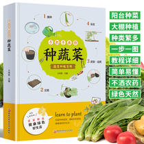 正版速发 手把手教你种蔬菜 蔬菜种植宝典 蔬菜栽培种植技术大全书籍 种类繁多 绿色天然 种菜栽培实用手册大全书籍
